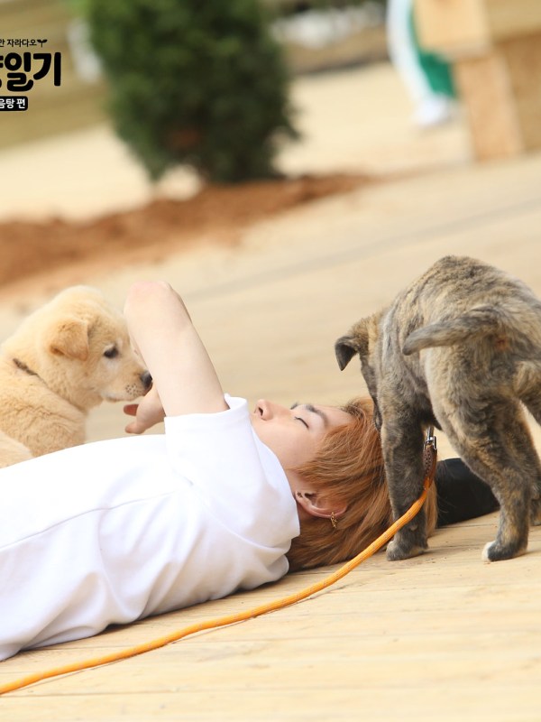 Food Diary (식량 일기) With&nbsp;TAEYONG