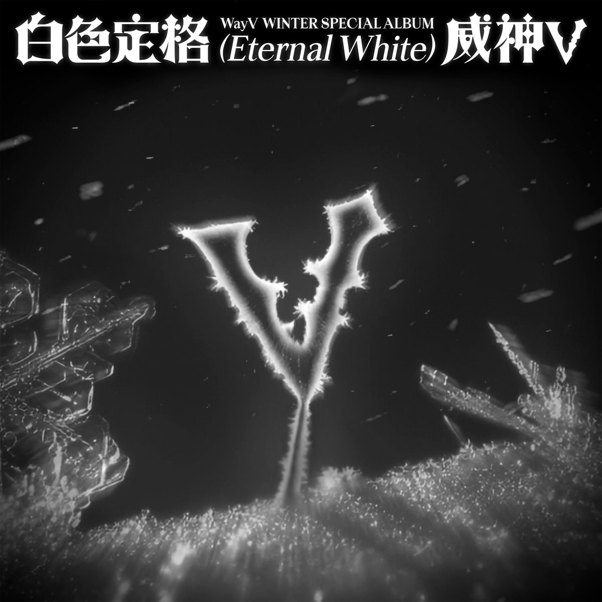 💿WayV Winter Special Album – Eternal&nbsp;White